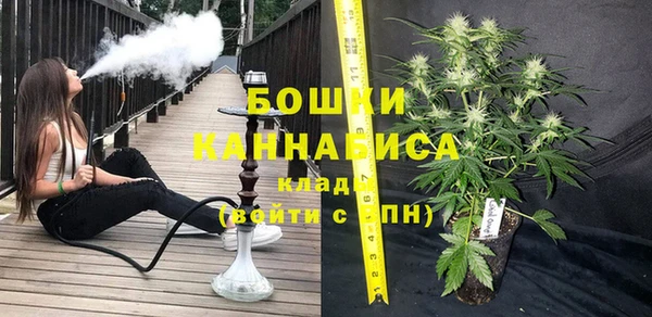 сатива Алексин