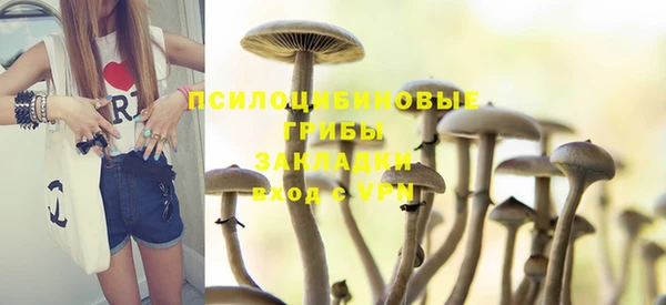 сатива Алексин