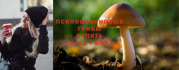 ПСИЛОЦИБИНОВЫЕ ГРИБЫ Алзамай