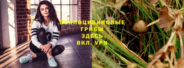 ПСИЛОЦИБИНОВЫЕ ГРИБЫ Алзамай