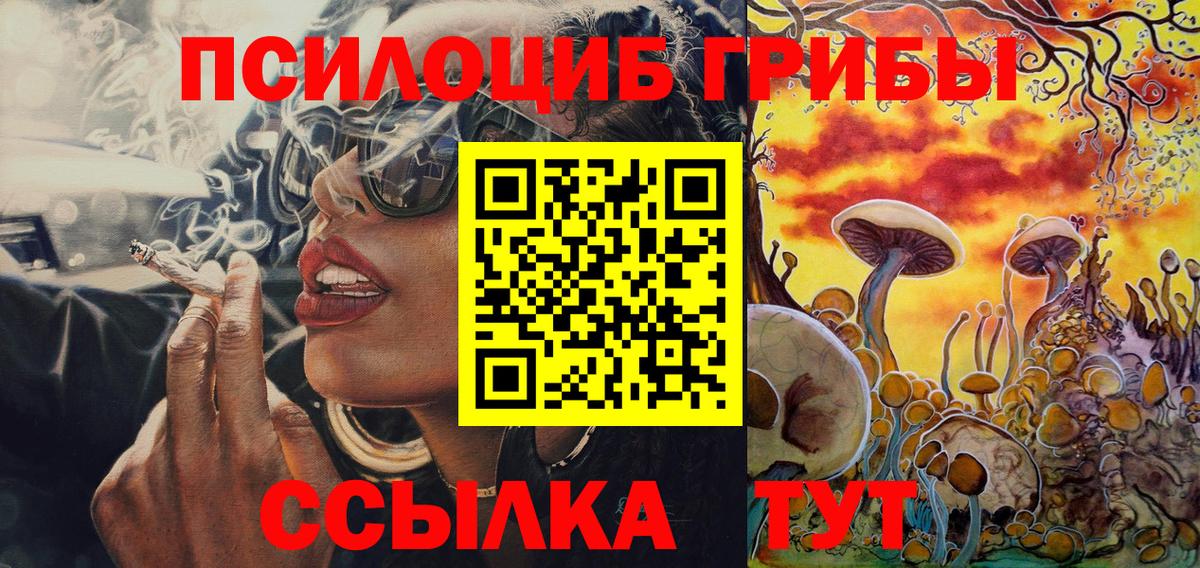 Псилоцибиновые грибы Cubensis Тюмень