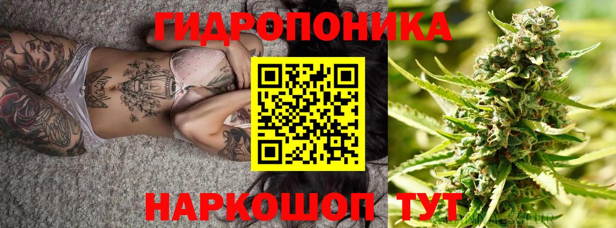 Бошки Шишки Amnesia Тюмень